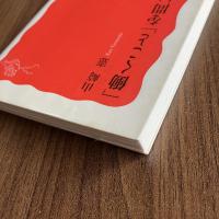 【初版】「働くこと」を問い直す 山崎憲 岩波新書 新赤版1516 労働問題 労使関係 雇用 社会保障