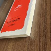 【初版】大欧州の時代―ブリュッセルからの報告― 脇阪紀行 岩波新書997 EU 欧州統合 国際政治 国際経済