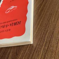 民族という名の宗教―人をまとめる原理・排除する原理 （岩波新書 新赤版204）