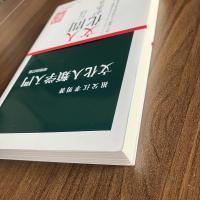 文化人類学入門 増補改訂版 （中公新書560）