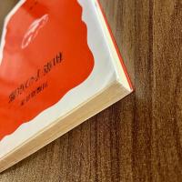和菓子の京都　川端道喜　岩波新書119　初版（1990年）