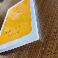 ことばと国家　田中克彦　岩波新書175　言語学・社会言語学・国語論