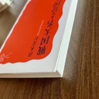 戦国大名と分国法　清水克行　岩波新書1729　初版