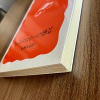 芸術のパトロンたち　高階秀爾　初版　岩波新書 新赤版490