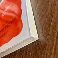 読みなおし日本文学史　歌の漂泊　高橋睦郎　初版　岩波新書 新赤版550