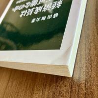 経済成長は不可能なのか　少子化と財政難を克服する条件　盛山和夫　中公新書2116