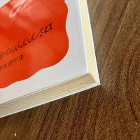 ロシア・アヴァンギャルド　亀山郁夫　岩波新書　初版・帯付