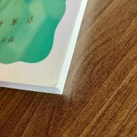 辛亥革命　野沢豊　岩波新書 青版814（D54）
