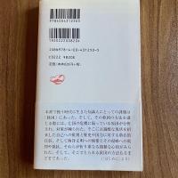 近代国家への模索 1894-1925　シリーズ中国近現代史2　川島真　岩波新書1250　初版・帯付