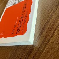 近代国家への模索 1894-1925　シリーズ中国近現代史2　川島真　岩波新書1250　初版・帯付