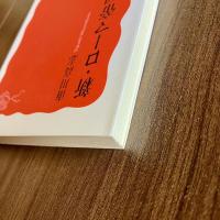 新・ローマ帝国衰亡史　岩波新書 新赤版1426　帯付