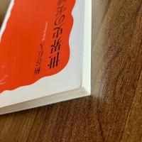 世界史の実験　柄谷行人　岩波新書 新赤版1762