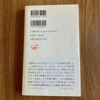 清朝と近代世界―19世紀　シリーズ中国近現代史1　吉澤誠一郎　岩波新書1249　初版・帯付