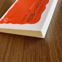 清朝と近代世界―19世紀　シリーズ中国近現代史1　吉澤誠一郎　岩波新書1249　初版・帯付