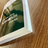 子ども観の近代　『赤い鳥』と「童心」の理想　初版　中公新書1403