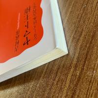 ヤマト王権―シリーズ日本古代史2【岩波新書 新赤版1272】