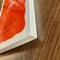 日本の神々　谷川健一　岩波新書 新赤版618　初版（第1刷）