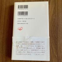 革命とナショナリズム 1925-1945　シリーズ中国近現代史3　石川禎浩　岩波新書1251　初版・帯付