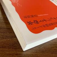 革命とナショナリズム 1925-1945　シリーズ中国近現代史3　石川禎浩　岩波新書1251　初版・帯付