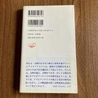 アラビアンナイト　文明のはざまに生まれた物語　岩波新書 新赤版1071　初版・帯付