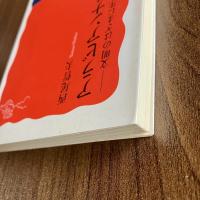アラビアンナイト　文明のはざまに生まれた物語　岩波新書 新赤版1071　初版・帯付