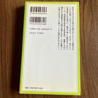 地震と火山の島国　極北アイスランドで考えたこと　岩波ジュニア新書369