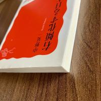 右傾化する日本政治　岩波新書 新赤版1553　初版