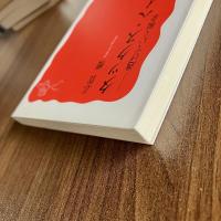 タックス・ヘイブン―逃げていく税金 ＜岩波新書 新赤版1417＞