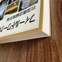 フィールドワークは楽しい ＜岩波ジュニア新書474＞ 初版・帯付