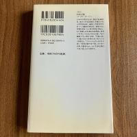 白川静―漢字の世界観　松岡正剛　平凡社新書440