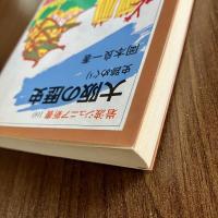 大阪の歴史　史跡めぐり　初版　岩波ジュニア新書160