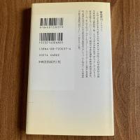 聖地の想像力　なぜ人は聖地をめざすのか　植島啓司　集英社新書0037