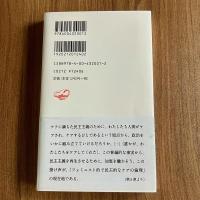 ケアの倫理　フェミニズムの政治思想　岡野八代　岩波新書