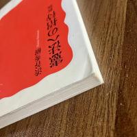 憲法への招待 新版　渋谷秀樹　初版　岩波新書1470