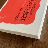 比較のなかの改憲論 日本国憲法の位置　辻村みよ子　岩波新書　初版・帯付