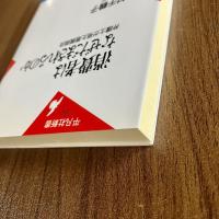 消費者はなぜだまされるのか　弁護士が見た悪質商法　村千鶴子　平凡社新書230　初版・帯付