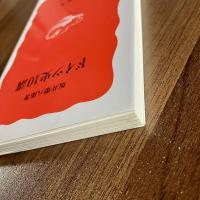 ドイツ史10講　岩波新書 新赤版826