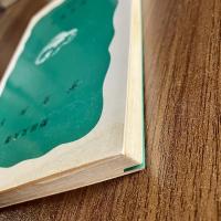 デカルト　野田又夫　岩波新書C22（青版602）