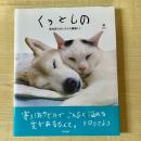 【猫本】くぅとしの