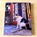 【猫本】岩合光昭のご当地ねこ