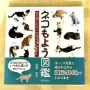 【猫本】ネコもよう図鑑