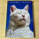 【猫本】ネコ日本晴れ