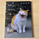 【猫本】ねこ輝く