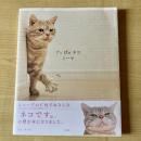 【猫本】ぐぅぱぁネコ ミーヤ