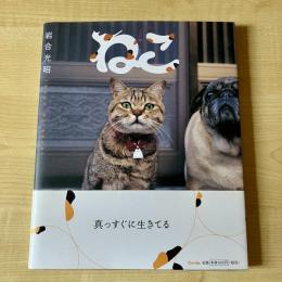 【猫本】写真集 ねこ