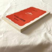 経済学の考え方【岩波新書】