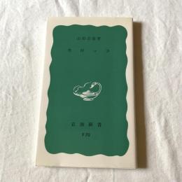 モロッコ【岩波新書】