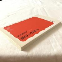 憲法とは何か【岩波新書】