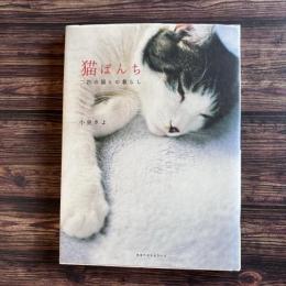 猫ぱんち 二匹の猫との暮らし