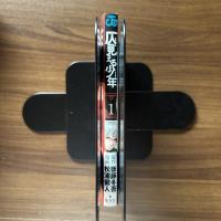 仄見える少年